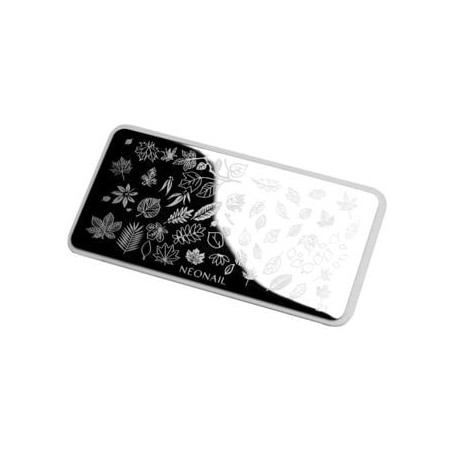 STAMPING - Stencil per nail art 21