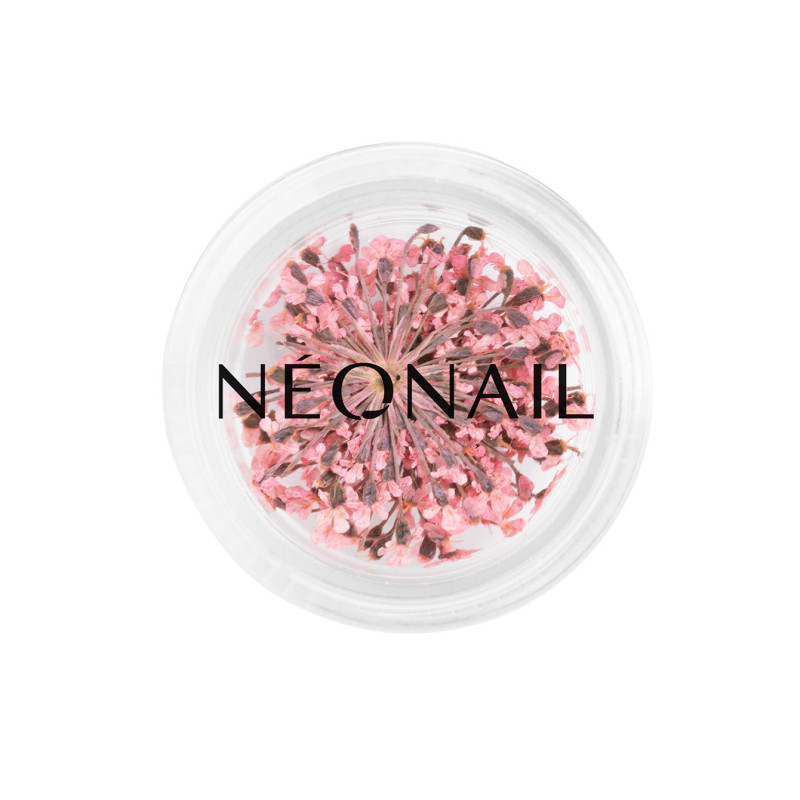 Decorazione Floreale per Unghie 01 Rosa