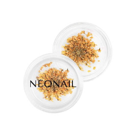 Decorazione Floreale per Unghie 03 Arancione
