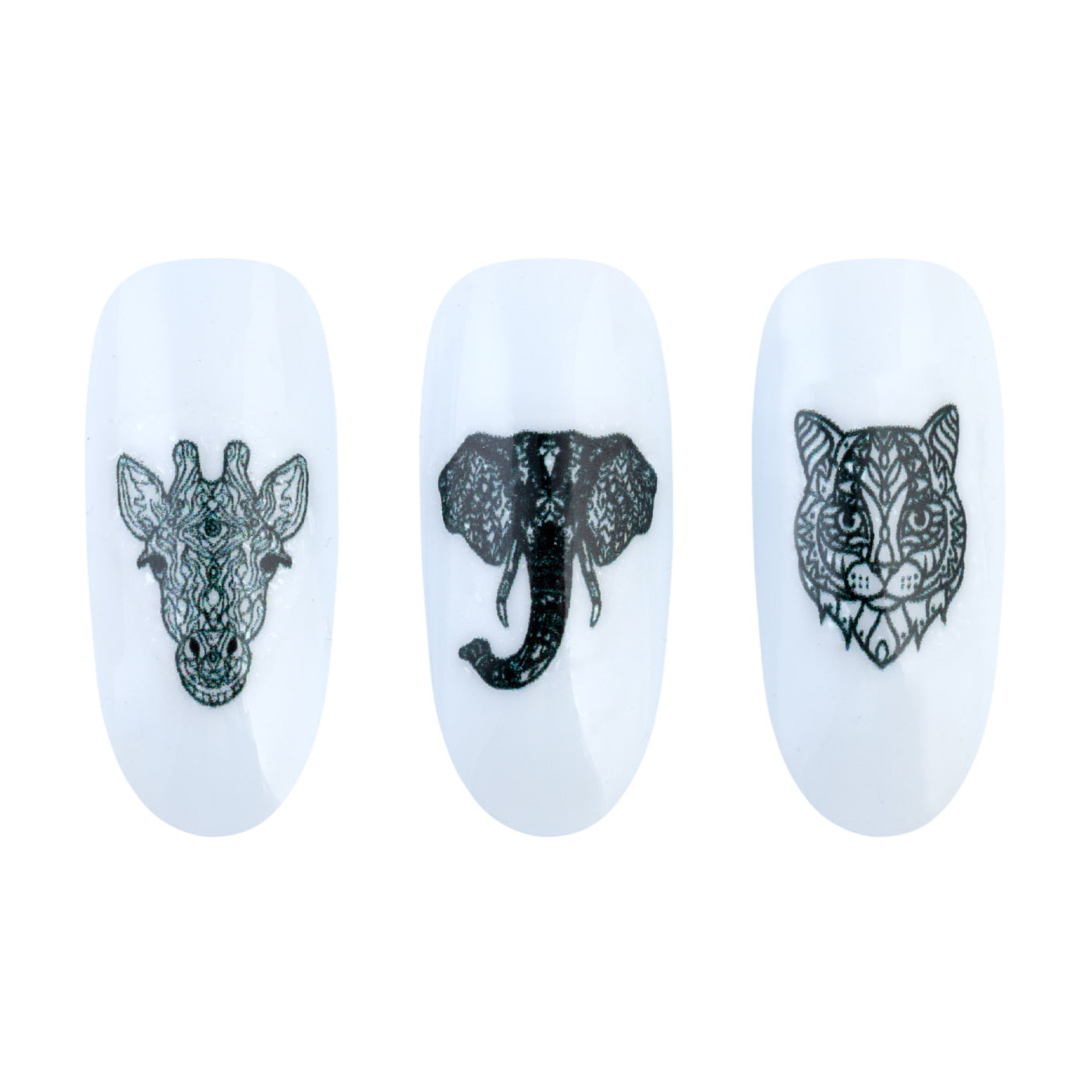 Adesivi ad acqua - Water sticker - NN23