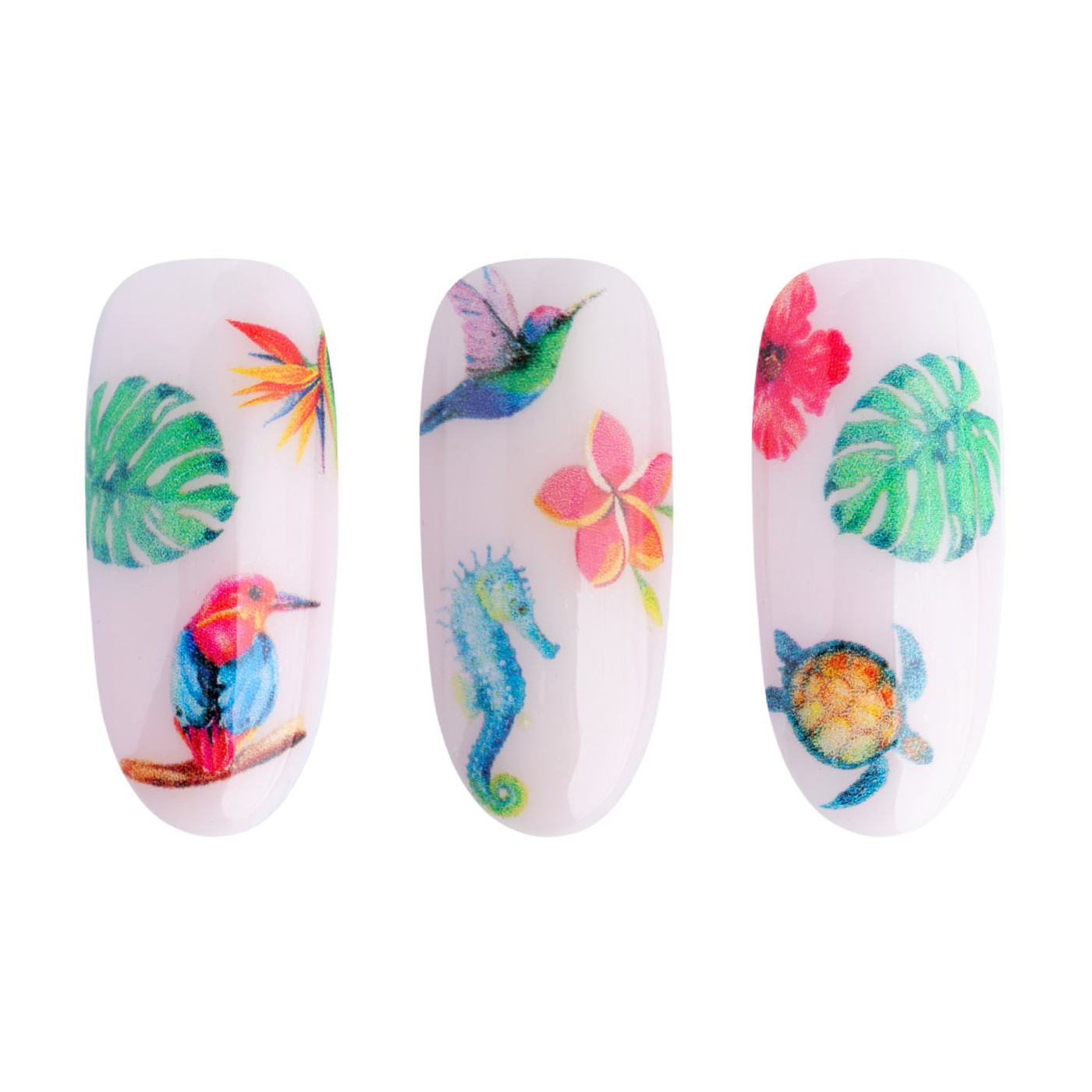 Adesivi ad acqua - Water stickers NN34