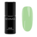 Smalto Semipermanente 7,2 ml - Eternal Fantasies