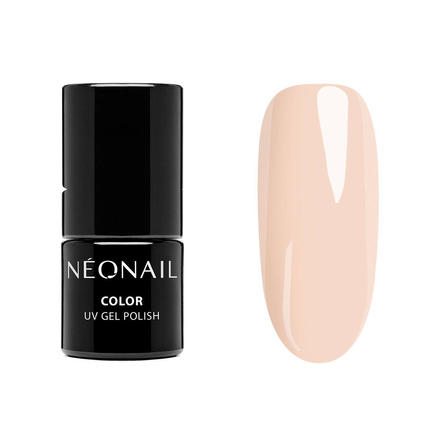 Color Favorites Starter Set