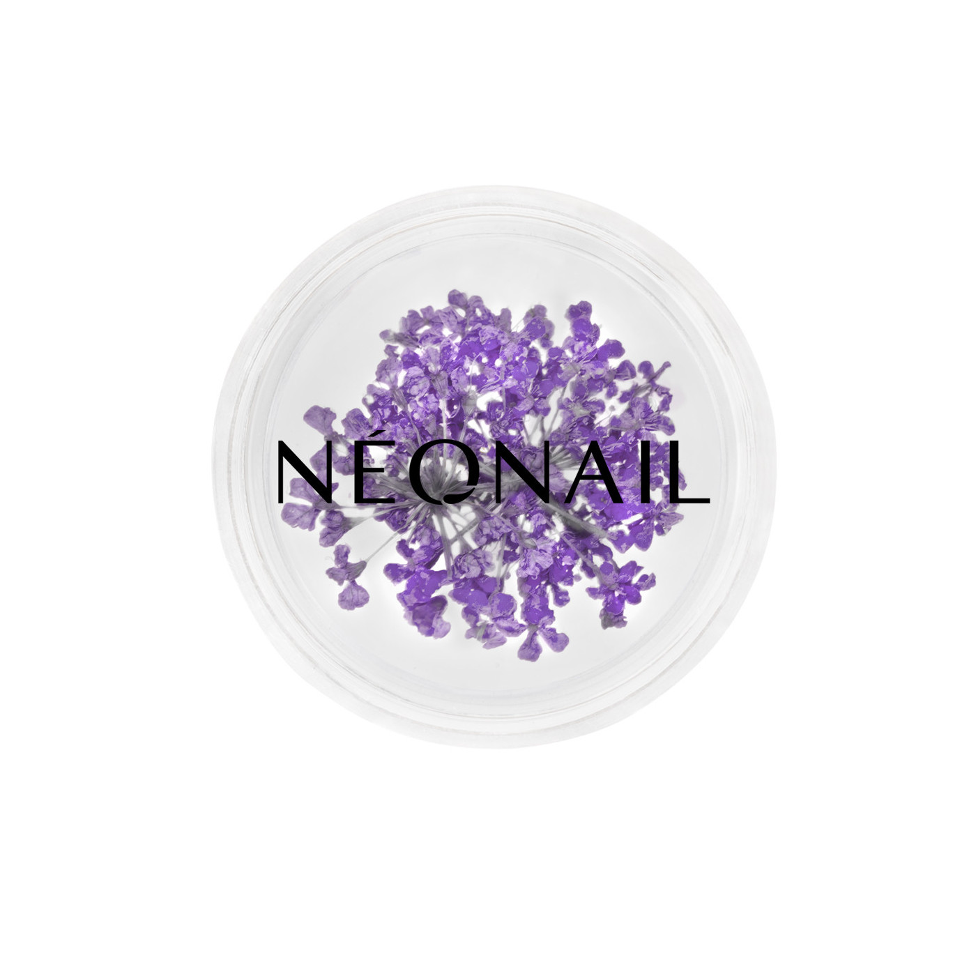 Decorazione Floreale per Unghie 06 Violet