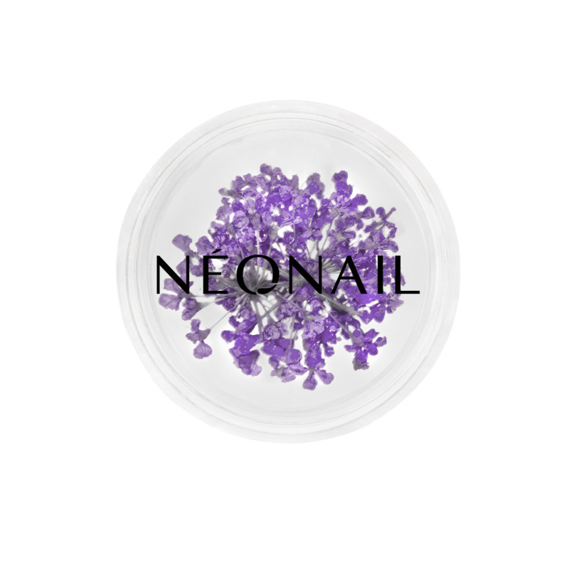 Decorazione Floreale per Unghie 06 Violet