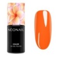 Smalto semipermanente 7,2 ml - Inner Flame