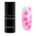 Nail Art Blooming Gel