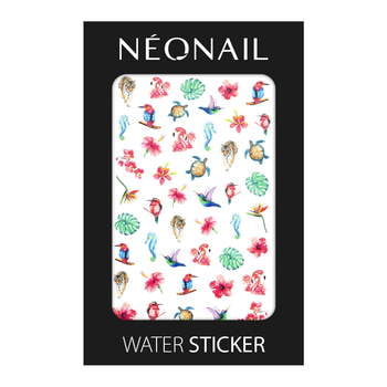 Adesivi ad acqua - Water stickers NN34 Adesivi ad acqua - Water stickers NN34