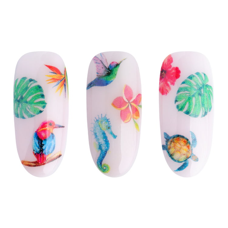 Adesivi ad acqua - Water stickers NN34 Adesivi ad acqua - Water stickers NN34