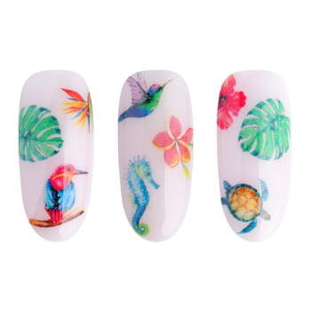 Adesivi ad acqua - Water stickers NN34 Adesivi ad acqua - Water stickers NN34