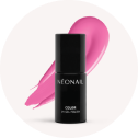 Colori